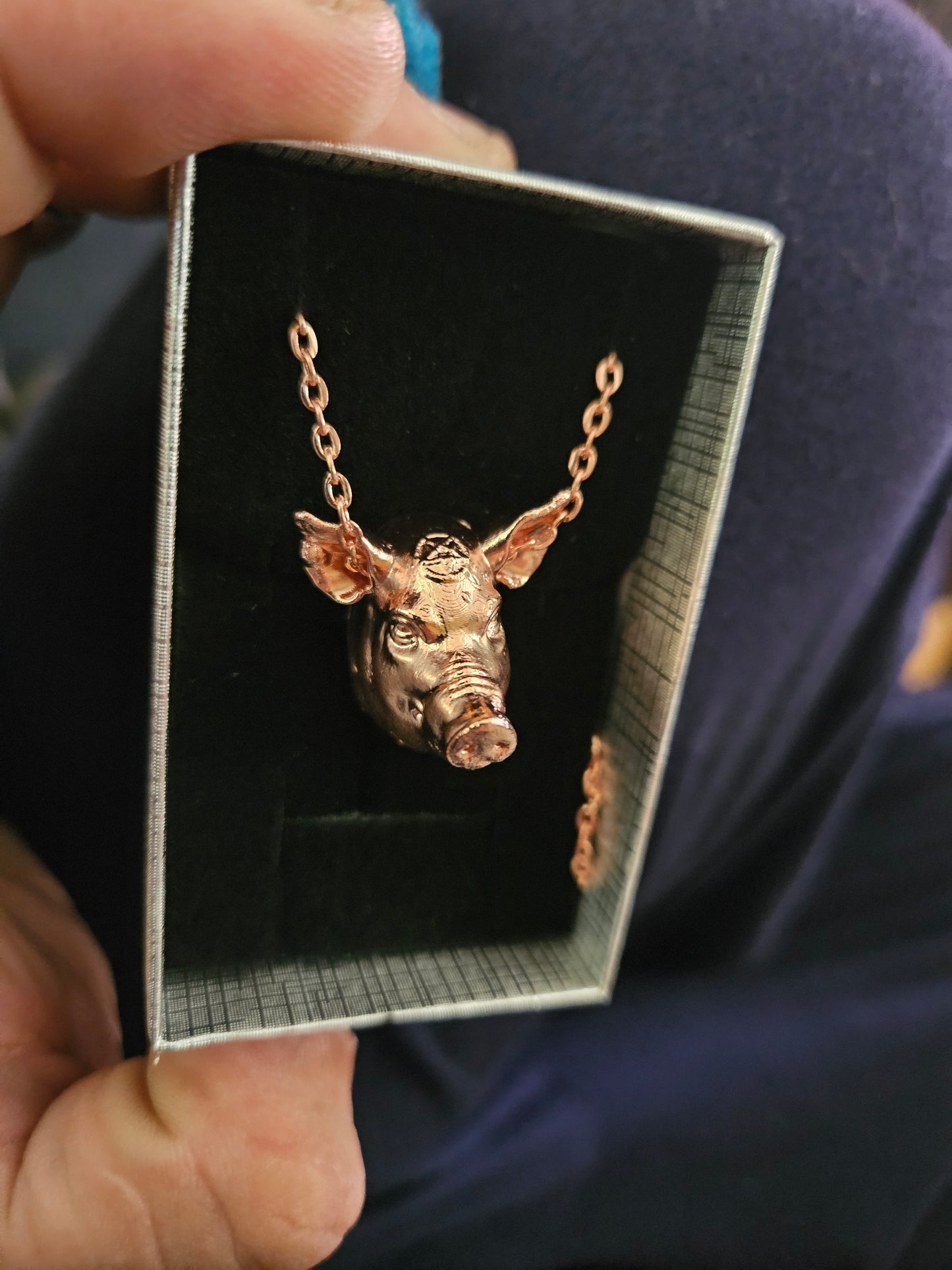 One Fine Pig
