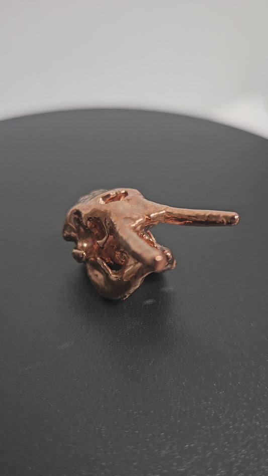Elephant skull